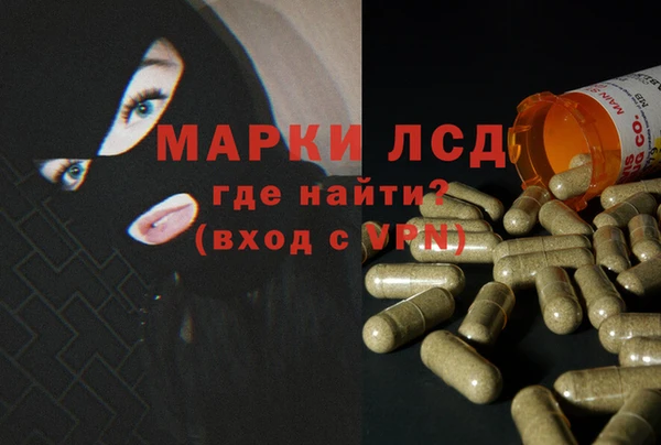 скорость Каменногорск