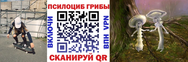 Псилоцибиновые грибы прущие грибы  ОМГ ОМГ ссылки  Кедровый 